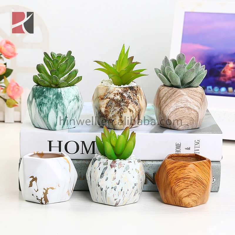 Wholesale Mini Geometric Succulent Plant Pots Ceramic Small Flower