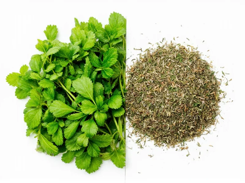 Fresh to Dry Herbs Ratio: The 3:1 Conversion Guide