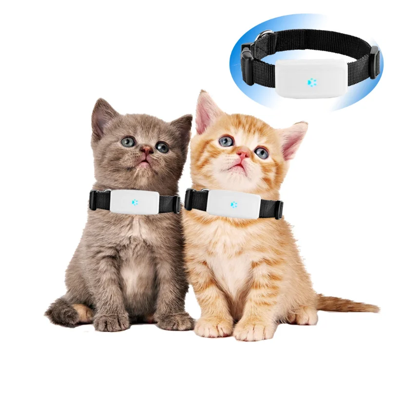 

TK911 GPS+LBS+WIFI Positioning Pet Collar GPS Tracking Device 200 hours standby dog cat pet tracker free GPS Tracking Platform