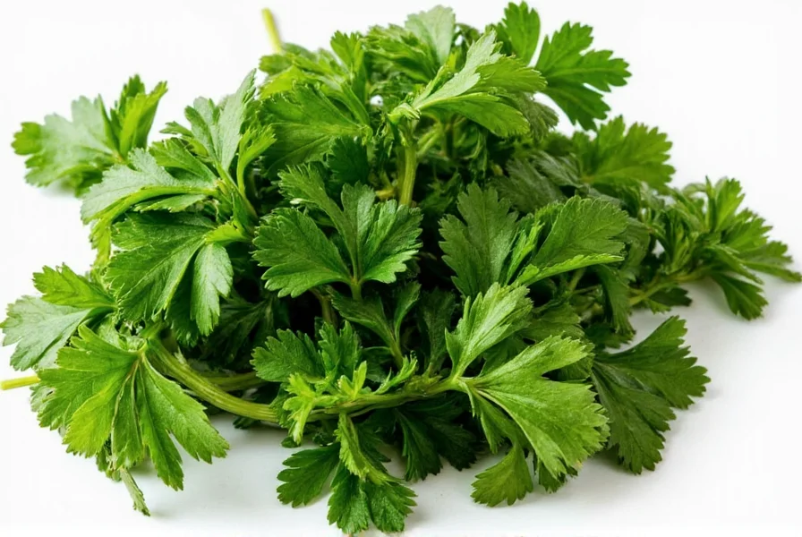 Cooking with Parsley