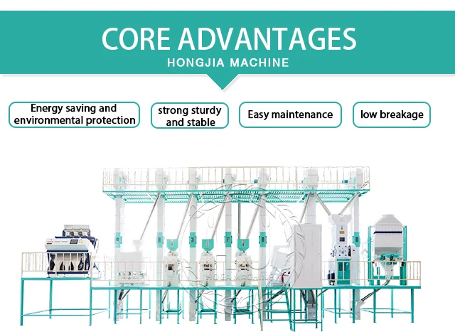 auto rice mill plant (2)