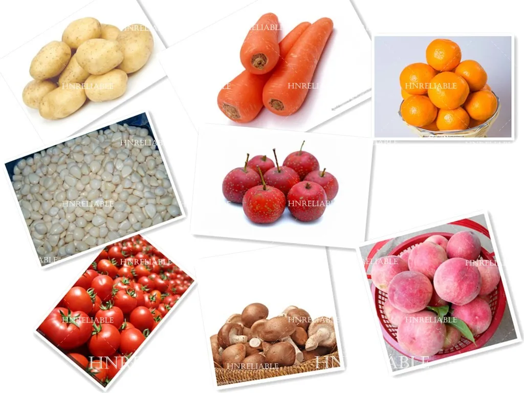 initpintu__conew1.jpg