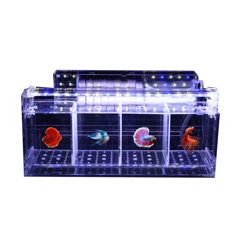 

creative multi-beetle Betta fish box Thai filter betta aquarium