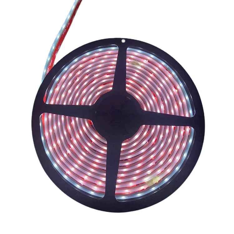 High lumen color IP65 led light strip rgb 5050