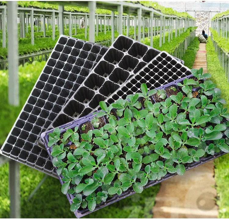 

DDA329 Durable 21/32/50/72/105/128 Cells Flower Vegetables Plant Germination Growing Seedling Trays Garden Nursery Tray, Black