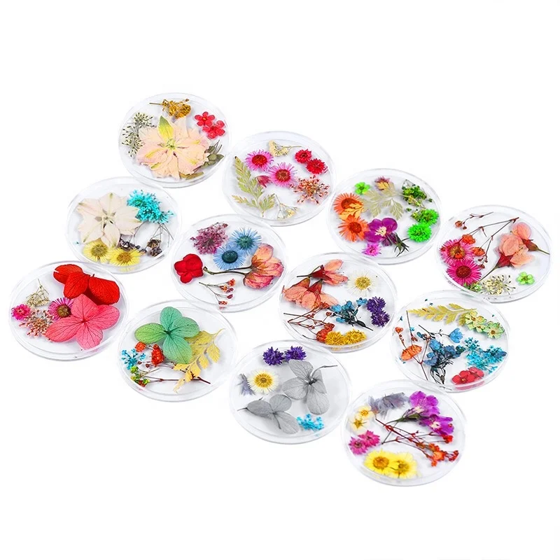 

Nail Art Decoration Preserved Mixed Dried Flower Manicure Decoration Tips Mounted Nail Decorative Dry Flower, Colorful