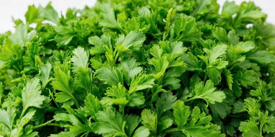 Cooking with Dried and Fresh Parsley