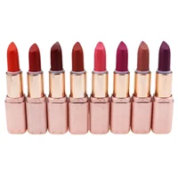 

Wholesales Matte Lipstick Long Wearing Private Label Vegan Cruelty Free Lipstick In Pink Shimmer Tube Packaging