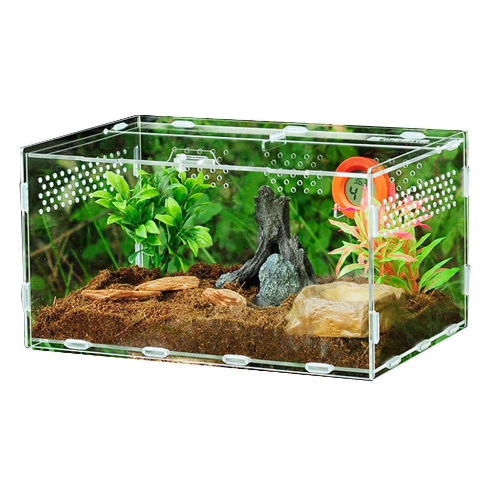 

25X15X15CM/30X20X15CM Acrylic Reptile Feeding Box Crawler Pets Feeding Container For Pet Spiders Scorpions Horned Frogs