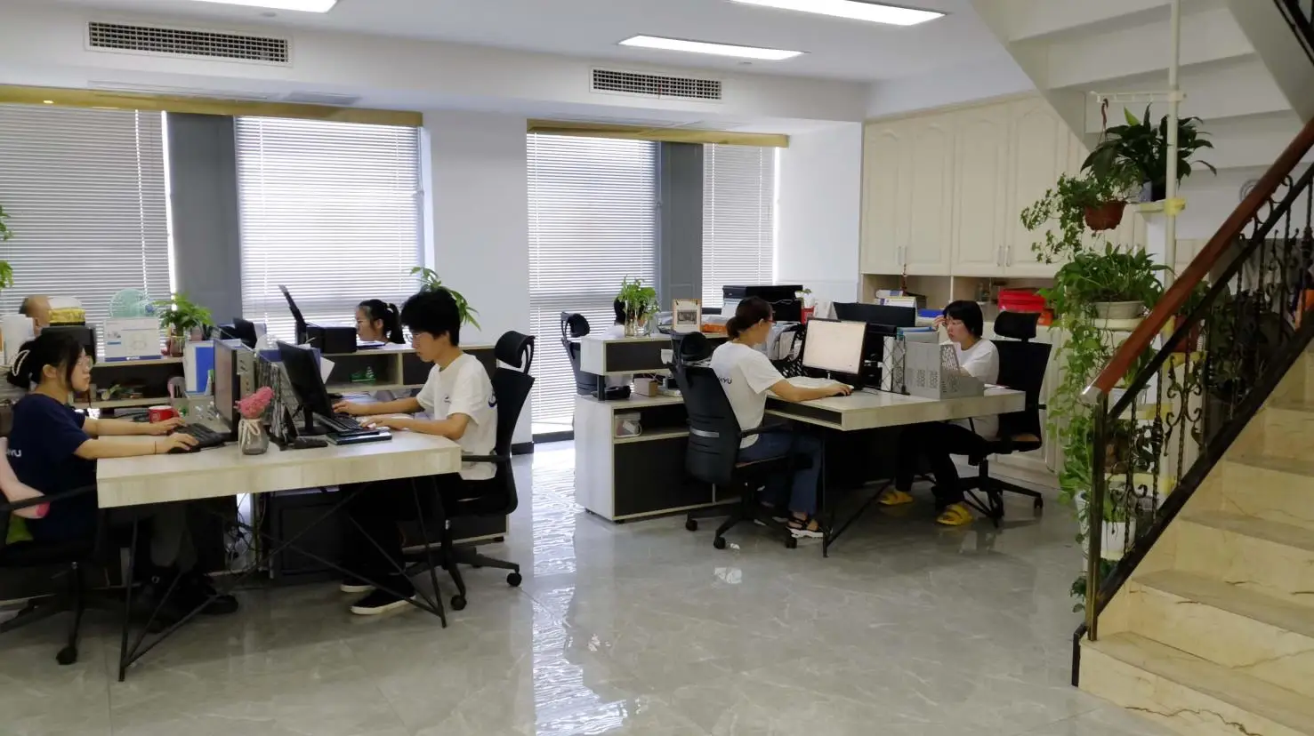 Plastic Collated Screws For Subfloor System Buy Collated Screws