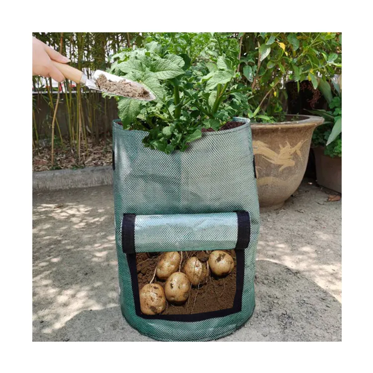 

Portable 10 Gallon Garden Planting Pouch Pot Potato Vegetable Plant Grow Bags with Drain Hole and Flap, Green