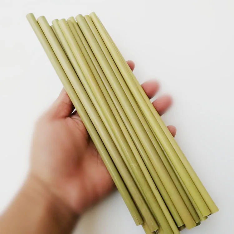 

Wholesale Bamboo Straws With Customized Logo Reusable Bamboo Drinking Straws 12pcs With Brush