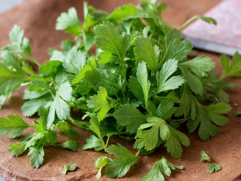 Cilantro Spice: What It Is and How to Use It Properly