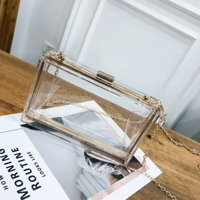 

Transparent Stadium Approved Handbag for Concerts with Gold Chain Strap Cute Clear Crossbody Purse Bag Acrylic Box Clutch