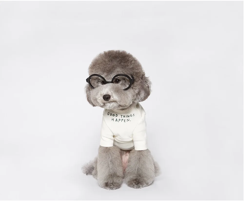 

INS Korean spring summer cute pet clothing dog clothes pet dog letter printing simple T-shirt