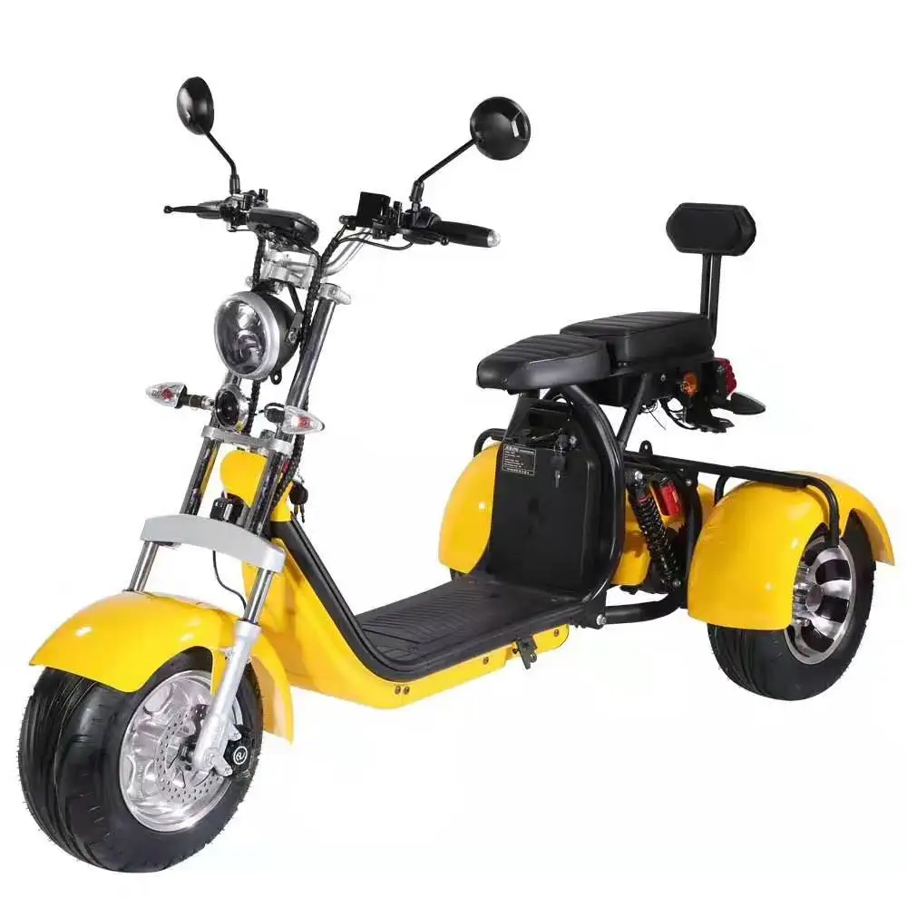 

EU warehouse Durable Rent 3 wheel electric citycoco off road electric motorcycle 2000w/ 4000W with 60V 20Ah double battery