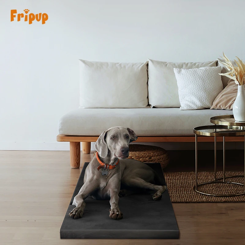 

RTS High Quality FriPuP Orthopedic Different Sizes Anti Odor Washable Pet Bed for dogs and cats