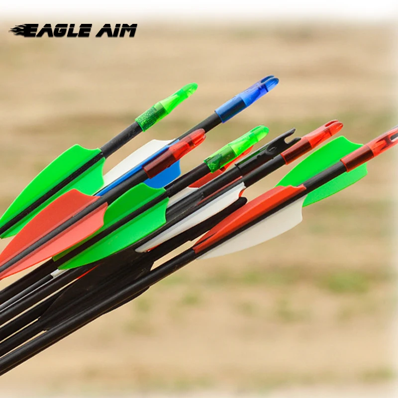 

31inch Fiberglass Arrow 6mm Outsourcing Arrow Multicolor Feather Used for Recurve and Straight Pull Bow Practice Archery, Red, blue, green, black