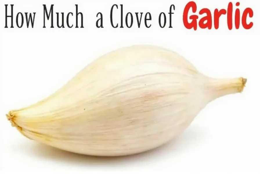 Different sizes of garlic cloves with measurement spoons