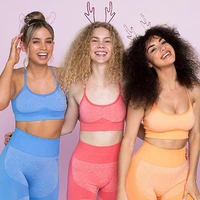 

Women's Nylon Seamless Custom Logo Fitness Sports Bra and Leggings Women's Sport Yoga Set