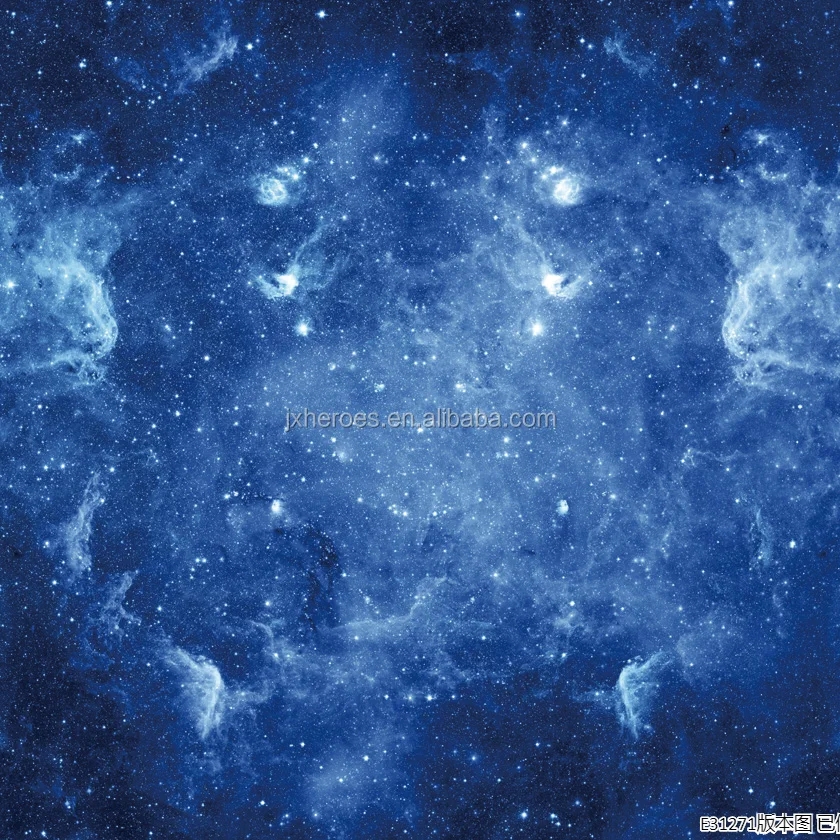 E31271