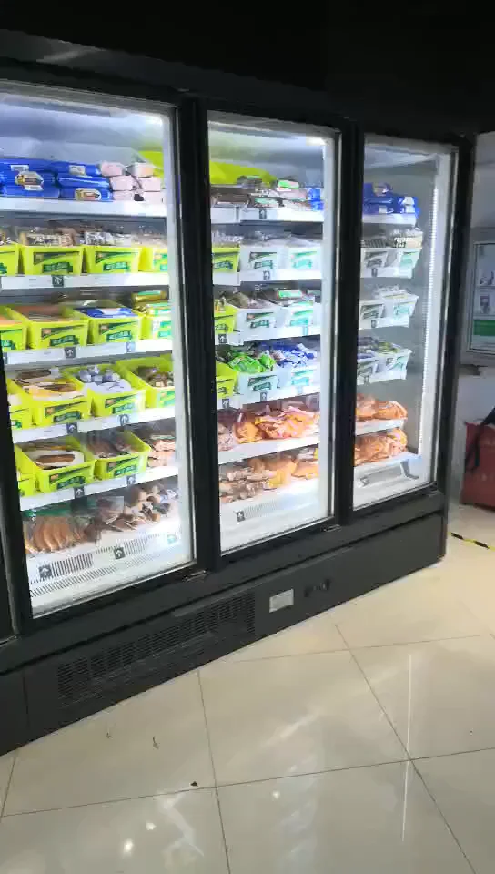 冷凍庫-18 ~ -22 23大型ガラスドア業務用直立型深型冷蔵庫