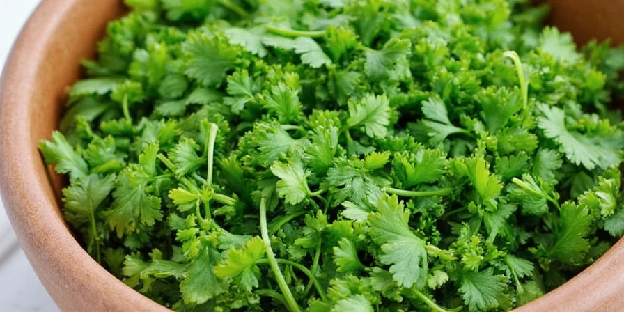 Chopped parsley frozen in ice cube tray