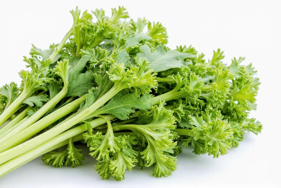 Celery Seed: Uses, Benefits & Culinary Guide