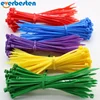Free sample Cable Tie nylon 66 eco friendly cable ties nylon cable tie markers