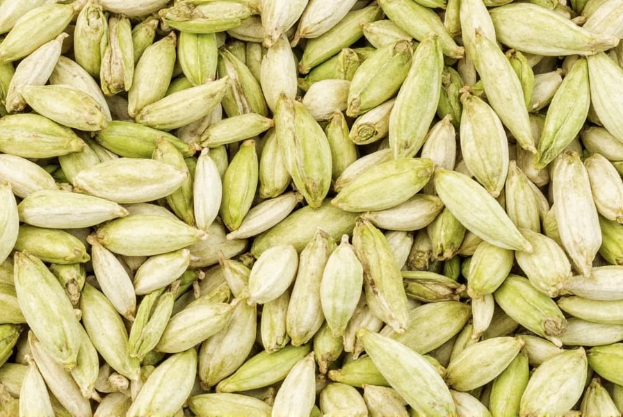 Cardamom Pods Available for Purchase