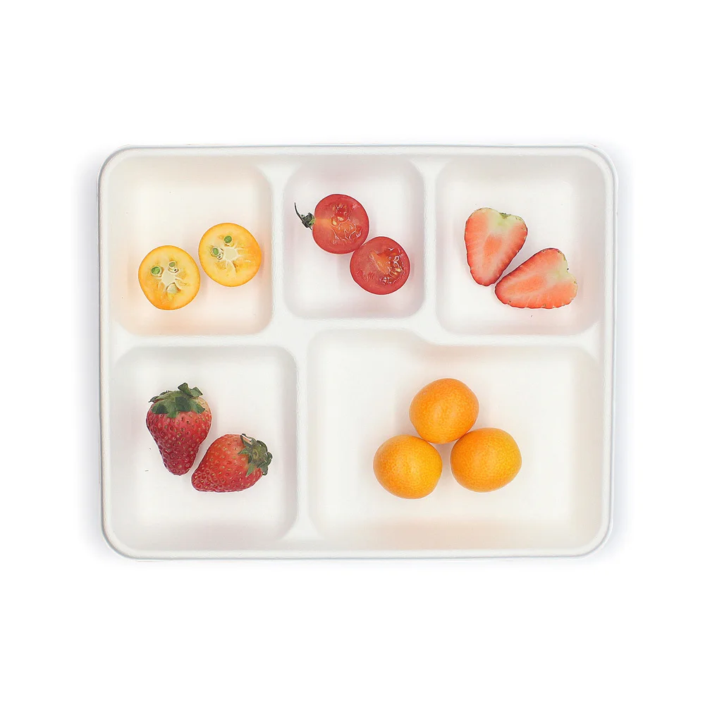 

Eco-Friendly Disposable Bagasse 5 Compartment Food Tray Biodegradable Sugarcane Tray, White/natural