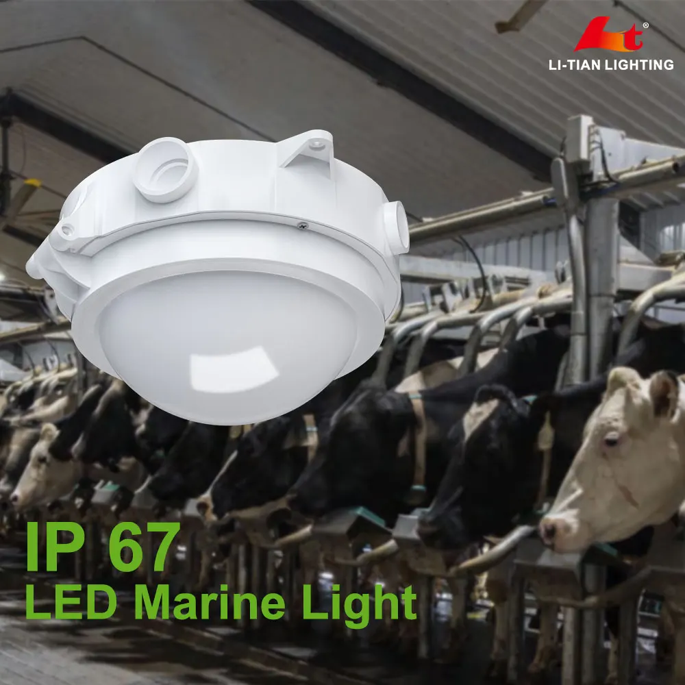 ceiling mount30w led triproof round light factory ip65 fixture