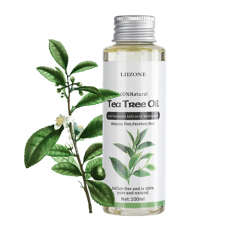 

OEM ODM Hot Selling Organic Tea Tree Essential Oil 100% Pure Natural Tea Tree Essential Massage Oil for Massage Hair Body Care