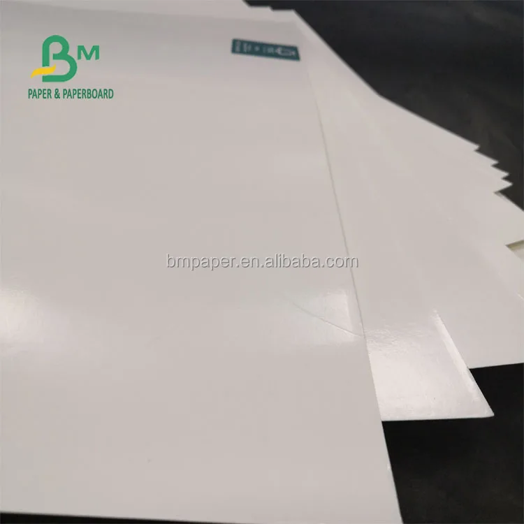 PE Coated Ivory Board  (4).jpg