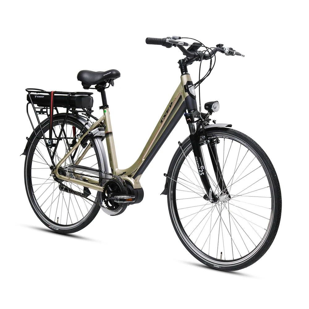 合金支架电动脂肪山地自行车与中间电机