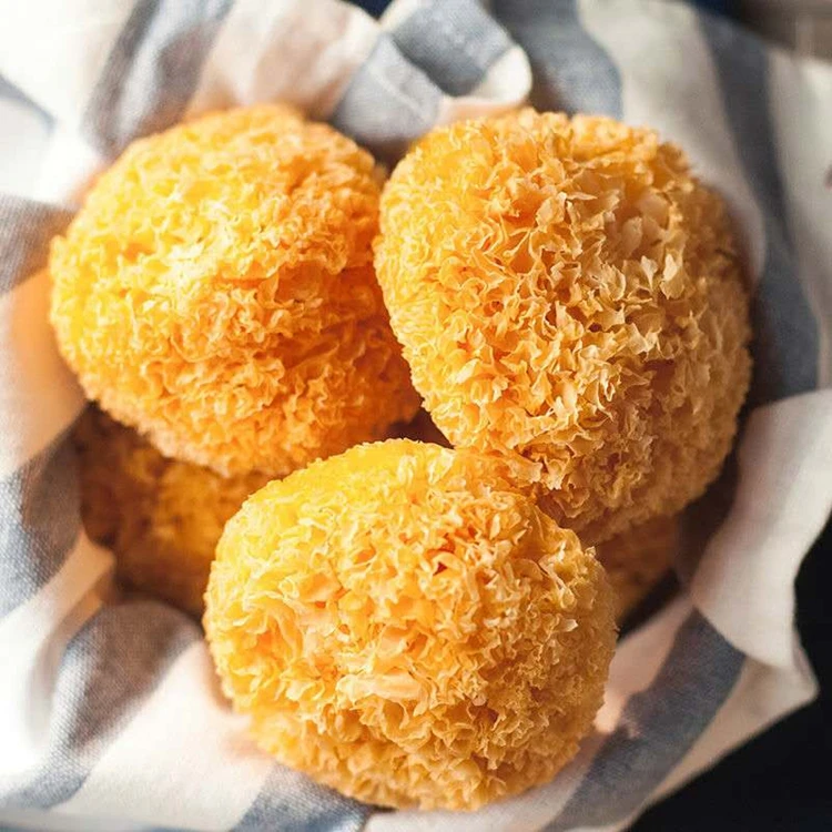 
High Quality 100% Natural Snow Fungus Tremella Mushroom Fuciformis 