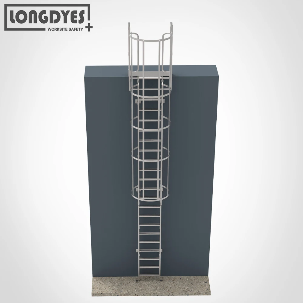 Galvanized Mild Steel Fixed Access Ladders - High Quality
