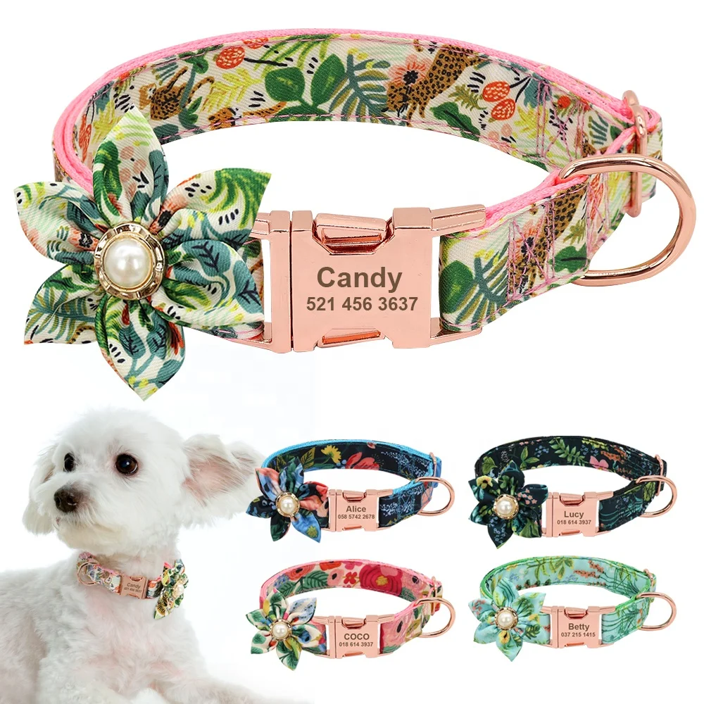 

Aliexpress New Arrival Gold Name Plate Support Dropshipping Nylon Pet Dog Collar
