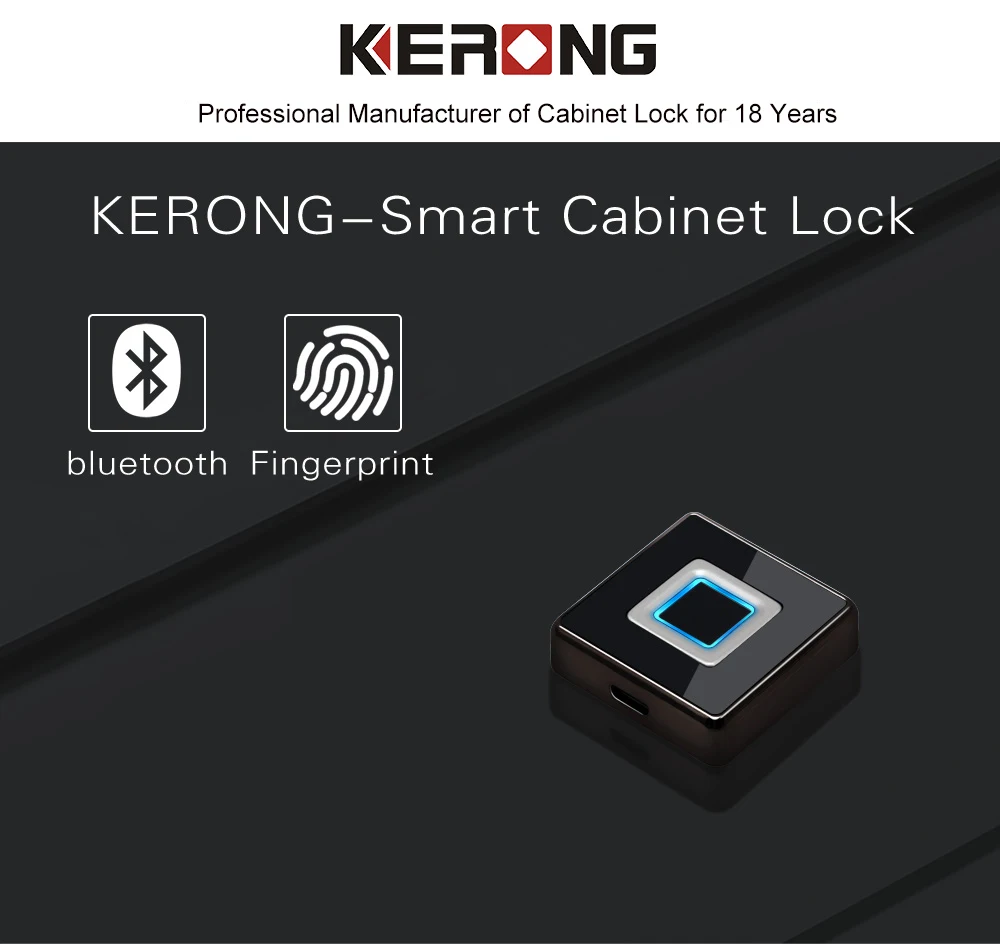 fingerprint biometric cabinet lock