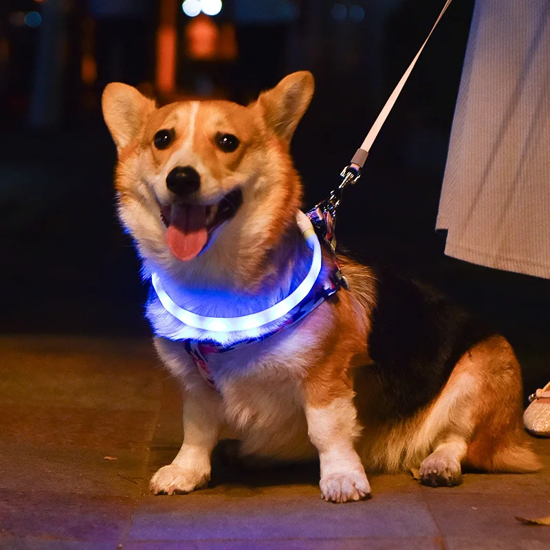 

Adjustable Rubber USB Charging Glow In Night Cat Puppy Safe Luminous Flashing Necklace LED Lights Dog Pets Collars, Pink/brown/green/blue/rose red/black