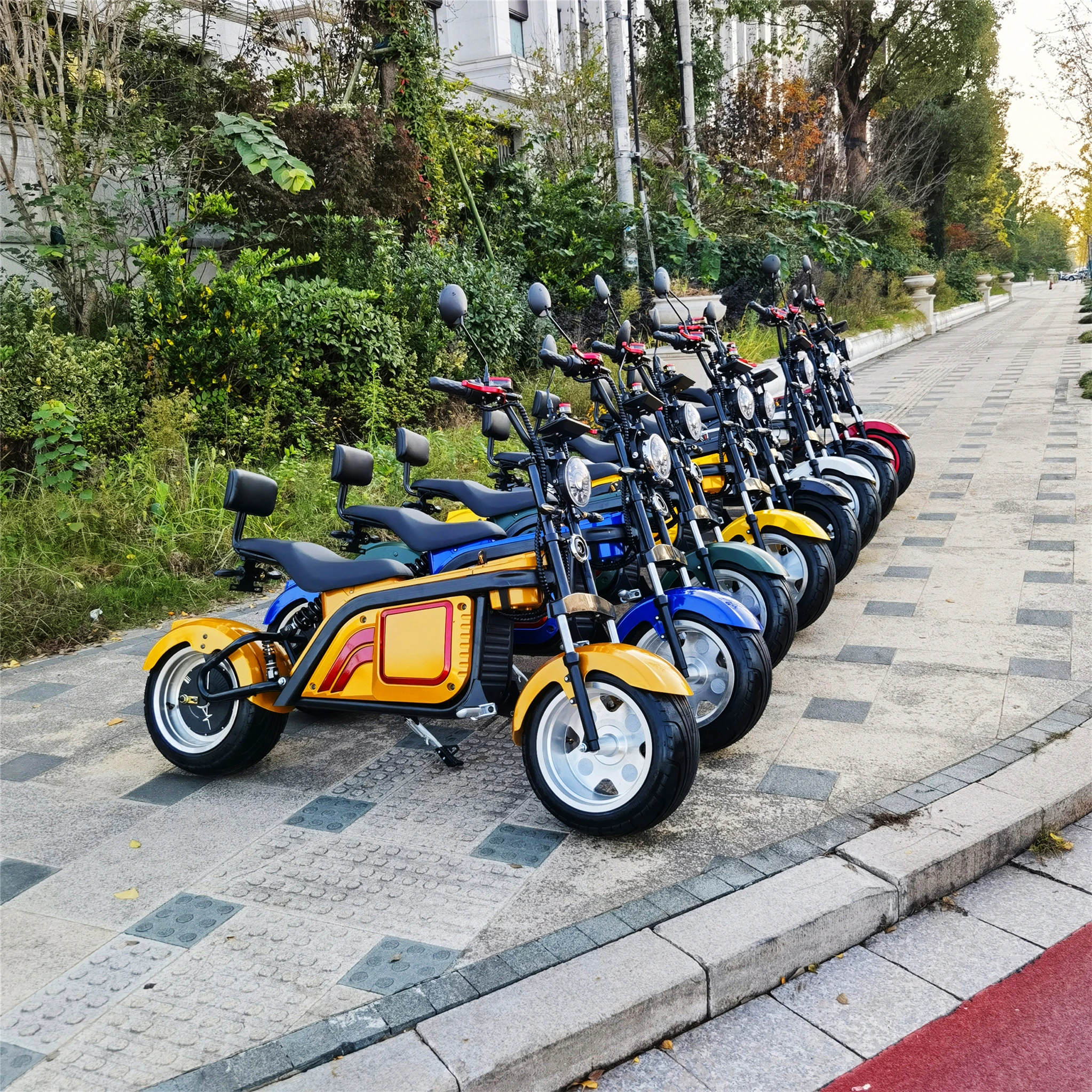 

2022 New Model Hot Sale Citycoco 2000W Electric Mini Motorcycles With Pedals Cheap Scooter