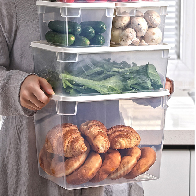 

XingYou Food Storage Container with lids Plastic Pet Food Packing Box