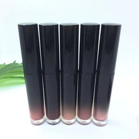

Low MOQ Makeup Cosmetic Glitter Lipgloss Make Your Own Logo Shiny Liquid lipstick with Packaging Tube Container