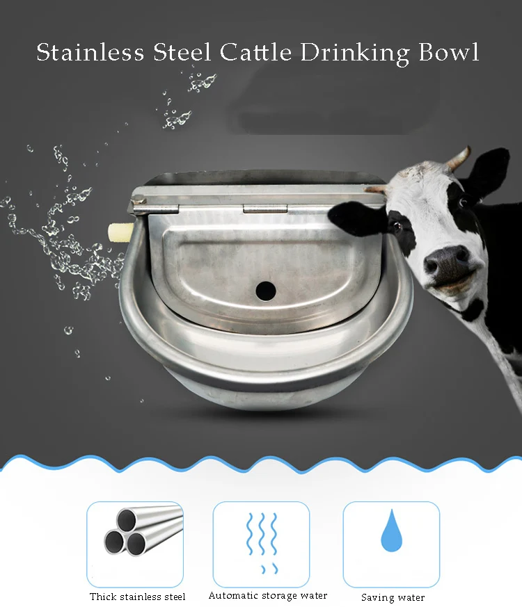 Stainless Steel Automatic Float Cow Cattle Drinking Water Bowl Water Tank Buy Automatic Cattle