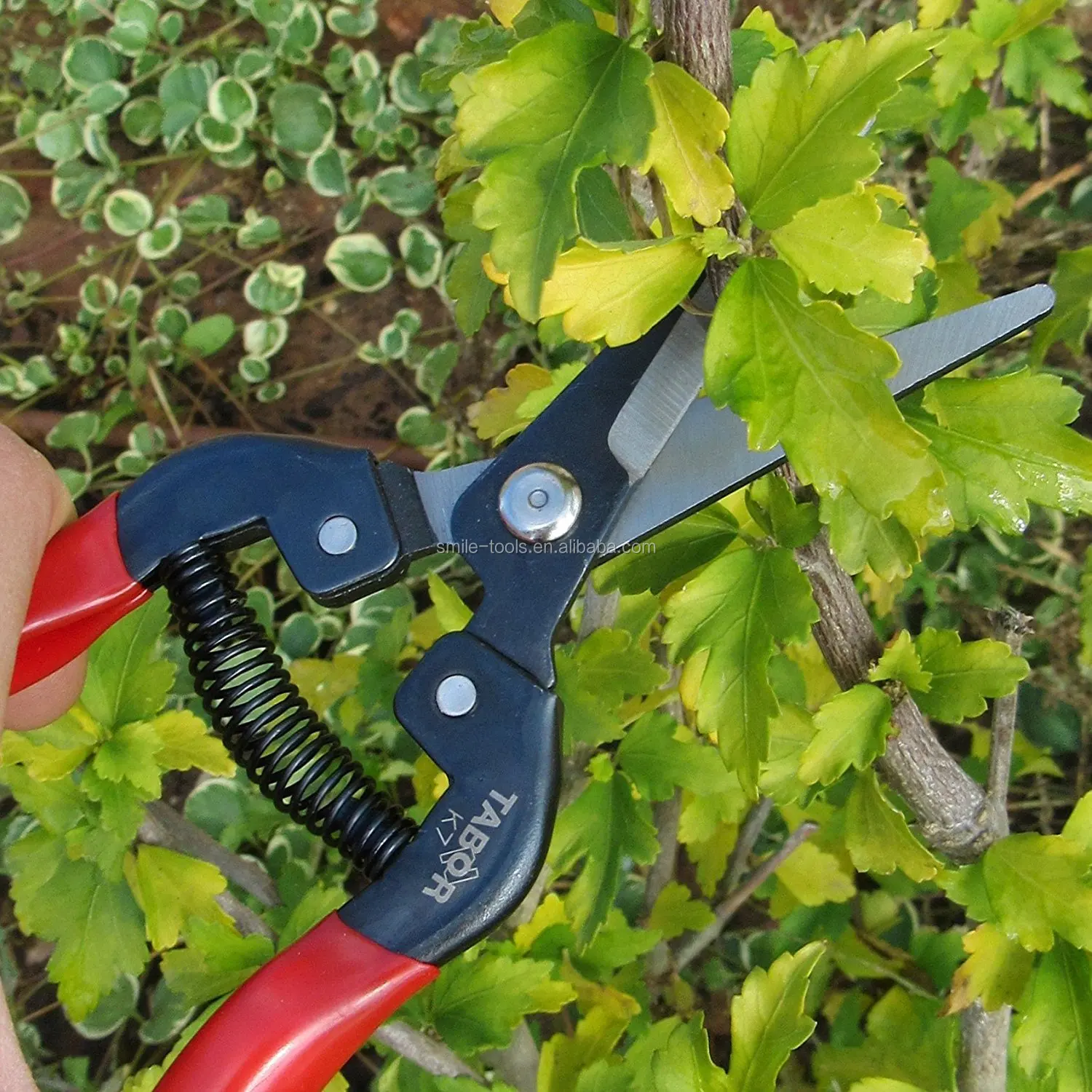 8 Inch Durable Garden Pruning Shears Gardening Secateurs Plant Flower ...