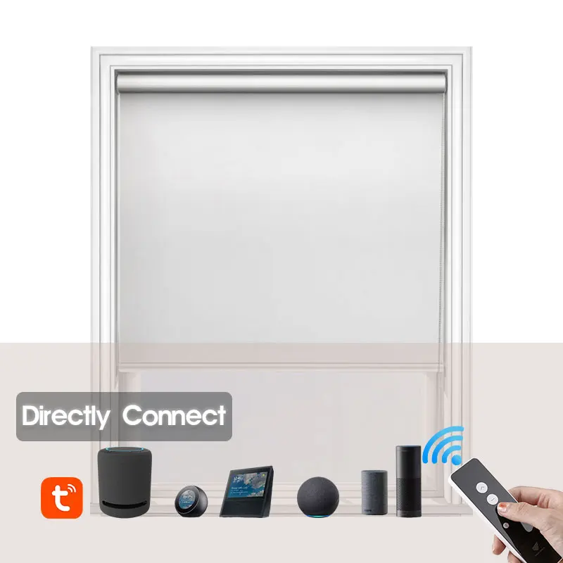 

Manufacturer sell remote control waterproof indoor electric roller shade for living room, Customized color