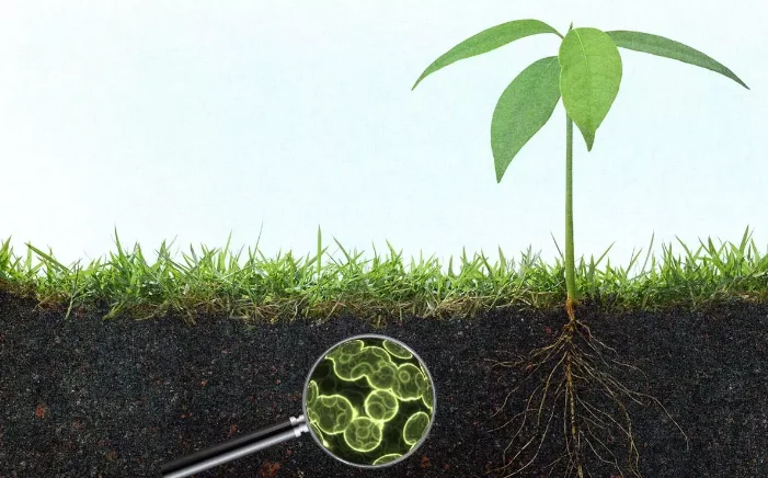 paste-pic-dp_uuid_o7zs2