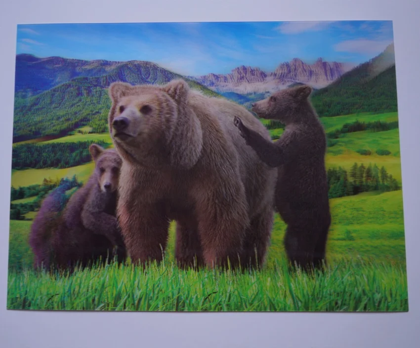 

Customized Animal Fridge Magnet Sticker Lenticular PET 3D Fridge Magnet, Cmyk