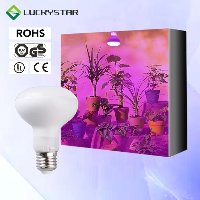 Professional Plant Lamp Lights Grow Room 5W E27 LED Bulb LED Grow Light for Indoor