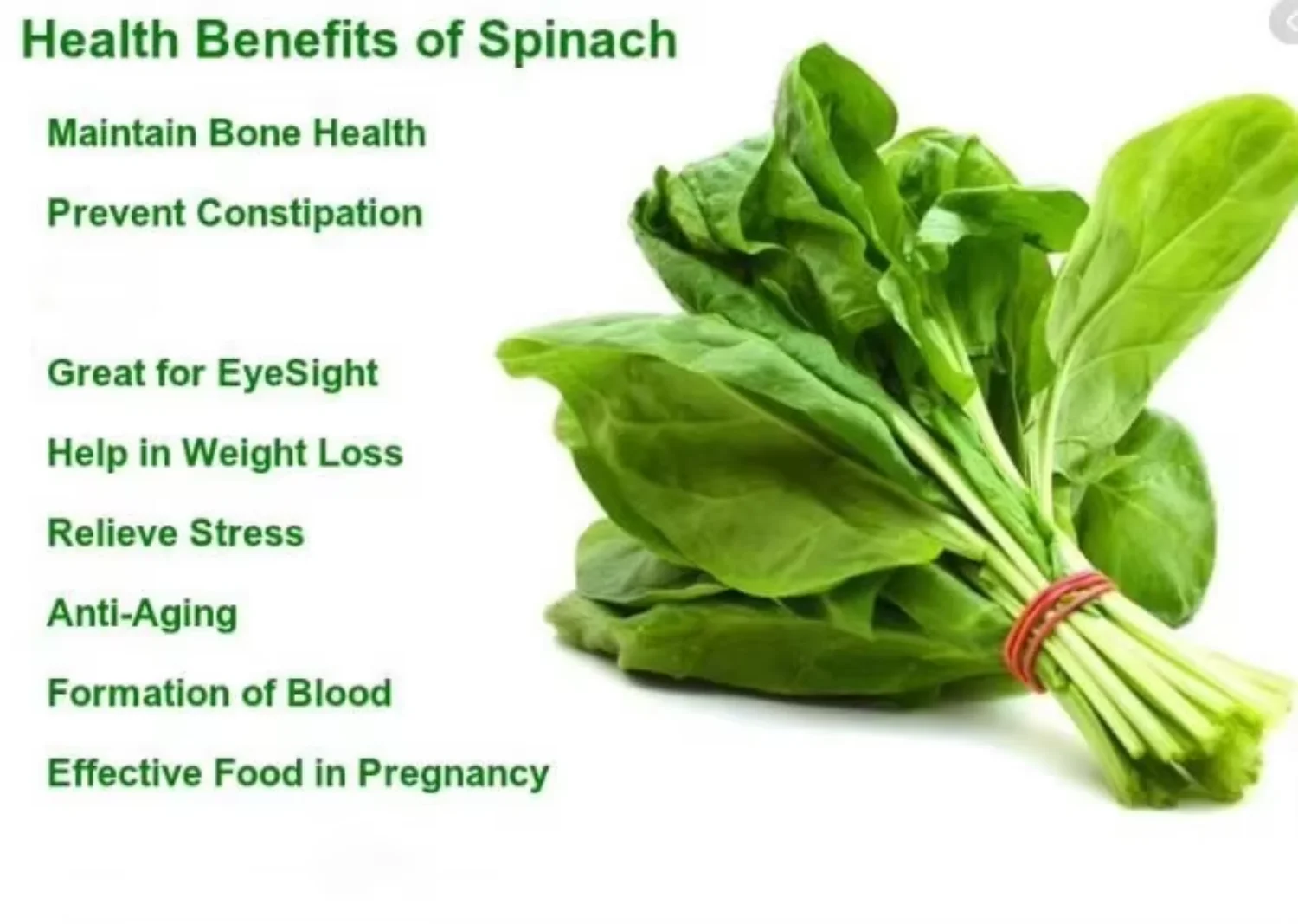 Spinach Powder - Bulk Wholesale from China Factory Hc63287cc1a3a4b28803ed165f63fa051i